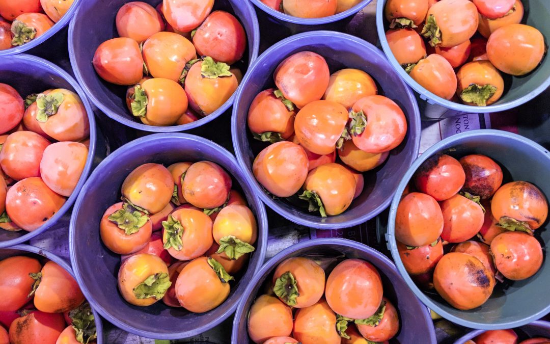 Persimmons: What they are and why they’ll be your favourite new fruit this Autumn